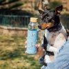 Quokka sklenená fľaša na vodu Flow 660 ml Quokka, psíky