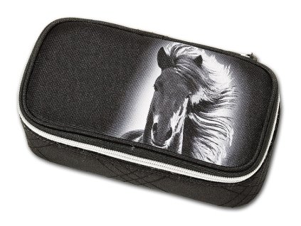 Studentský penál FAME Dream Horse