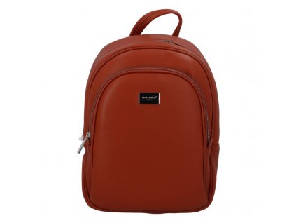 David Jones Backpack CM5601