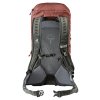 Deuter AC Lite 24 redwood-ivy