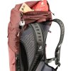 Deuter AC Lite 24 redwood-ivy