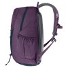 257370 4 deuter gogo plum ink