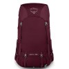 307252 1 osprey renn 65 aurora purple
