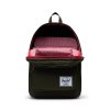 Herschel Pop Quiz - Ivy Green/Chicory Coffee 22 l