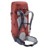 Deuter Rise 34+ redwood-ink