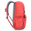 Deuter Walker 20 currant-redwood