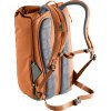 Deuter Step Out 22 chestnut-ivy