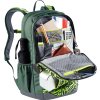 deuter Cotogy ivy strokes