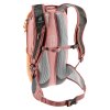 Deuter Race 8 chestnut-redwood