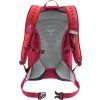 deuter AC Lite 17 cherry-masala