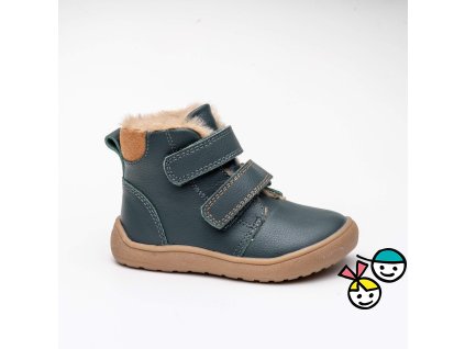 DENYgreen19 26a27 36