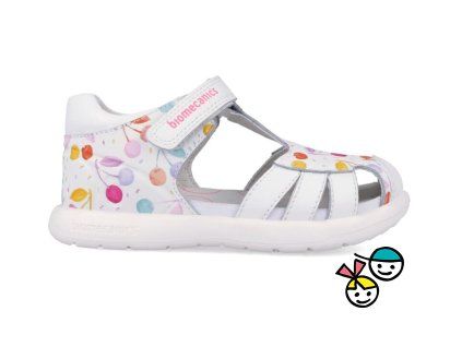 Biomecanics 262202-A050