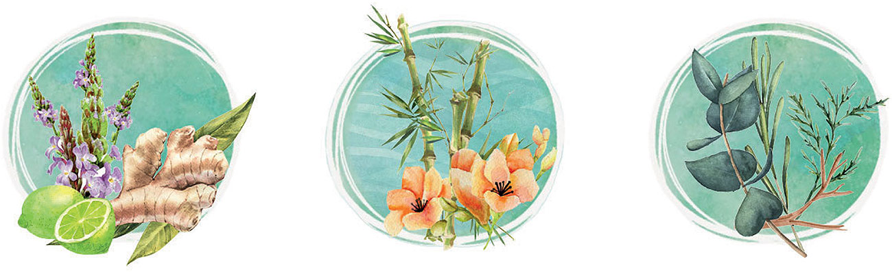 Ingredience ve vůni roku 2022 Inspire od Yankee Candle