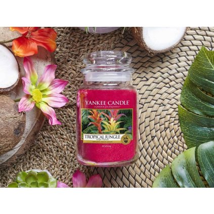 10334 yankee candle votivni svicka tropical jungle