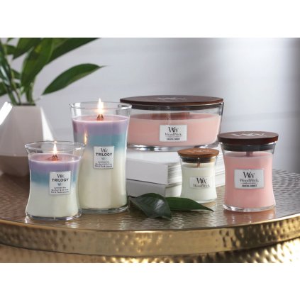 14903 woodwick vonny vosk bily caj a jasmin