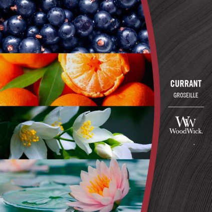 woodwick currant svicka velka