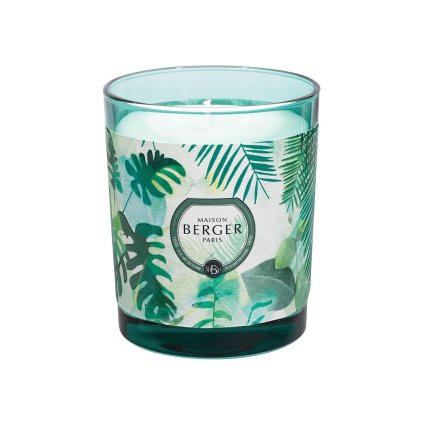 maison berger paris immersion vonna svicka fresh eucalyptus 1