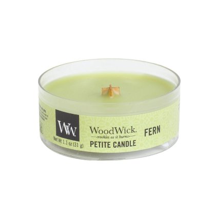 woodwick petite candle fern