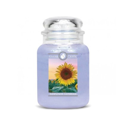 goose creek svicka sunflower daydream slunecnicovy sen