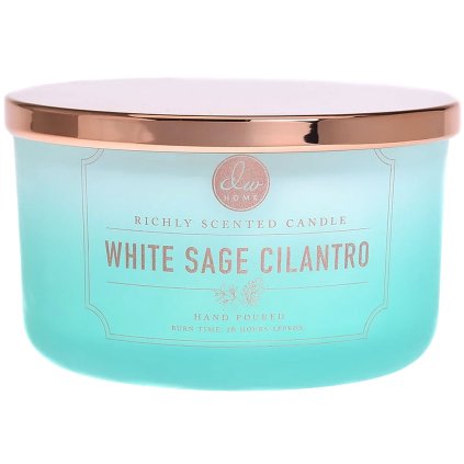 dw home svicka white sage cilantro