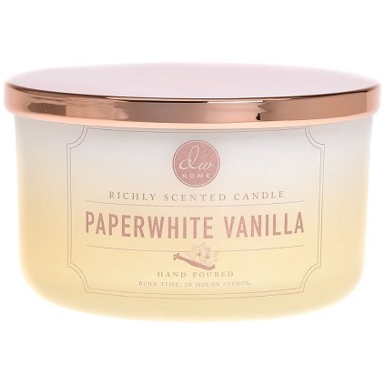 dw home svicka paperwhite vanilla