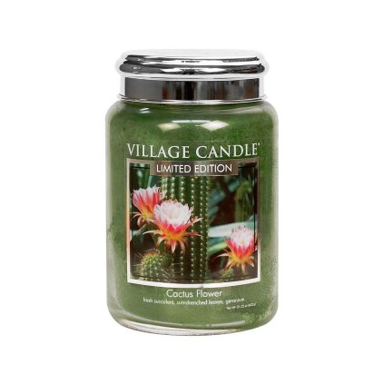 village candle cactus flower velka