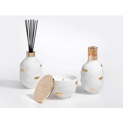 maison berger paris polymerove tycinky do aroma difuzeru