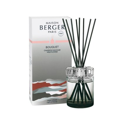 maison berger paris aroma difuzer land mechove zelena 1