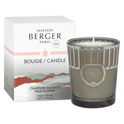 maison berger paris svicka wild flower 1