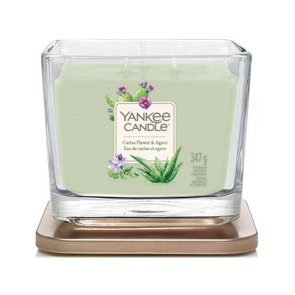 yankee candle cactus flower agave stredni