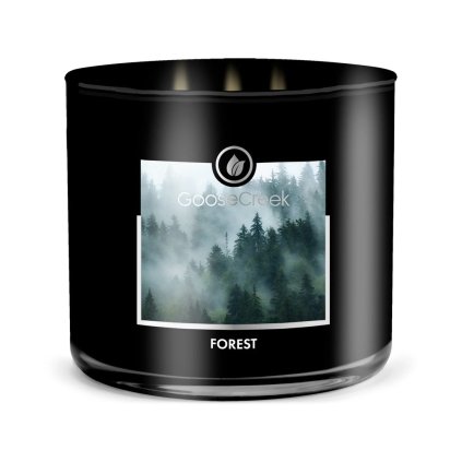goose creek forest