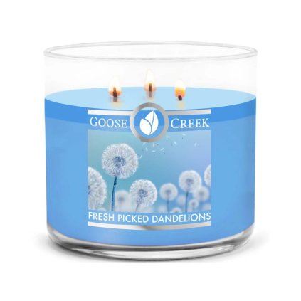 produkt (20)