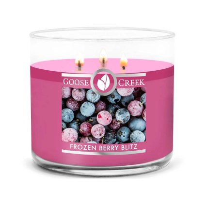 goose creek frozen berry blitz