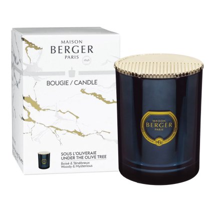 maison berger paris svicka alpha 1