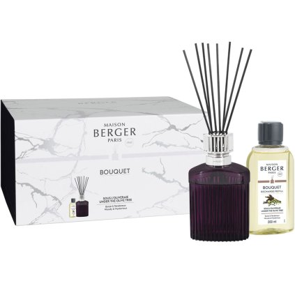 maison berger paris difuzer alpha fialova 1