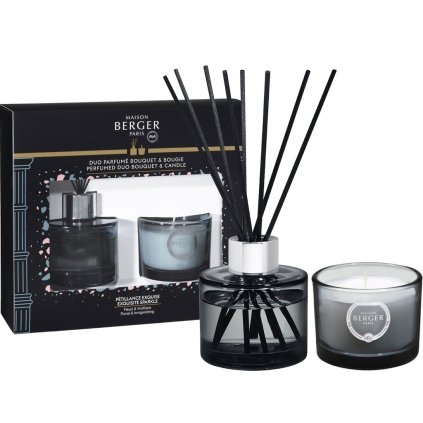 maison berger paris mini duo