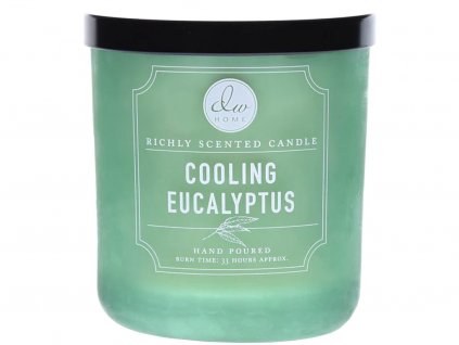 dw home cooling eucalyptus svicka stredni