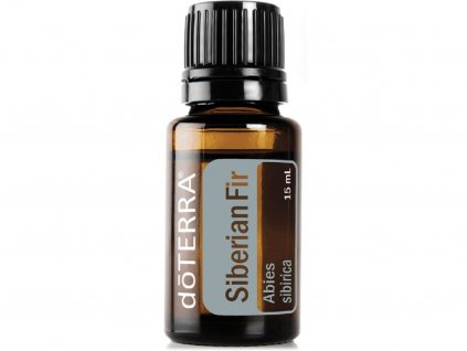 doterra siberian fir 1