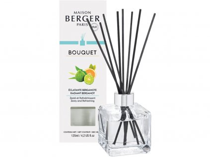 maison berger paris radiant bergamot difuzer 1