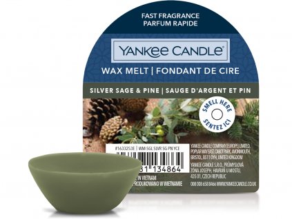 yankee candle silver sage pine vosk