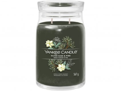 yankee candle silver sage pine signature velka