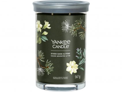 yankee candle silver sage pine 1
