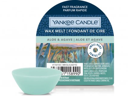 yankee candle aloe agave 3