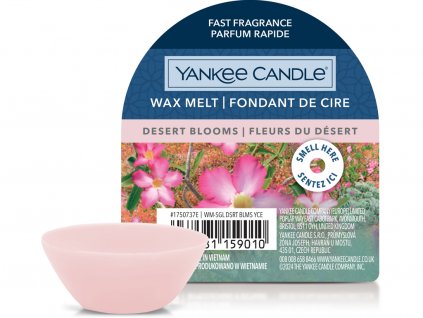 yankee candle desert blooms 4