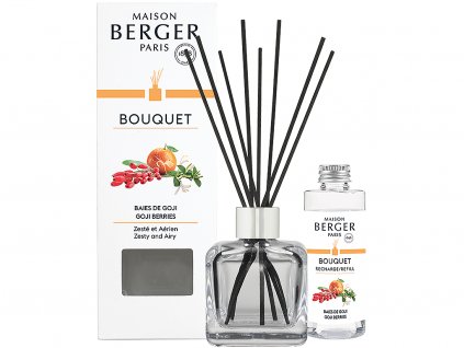 maison berger paris goji berries difuzer