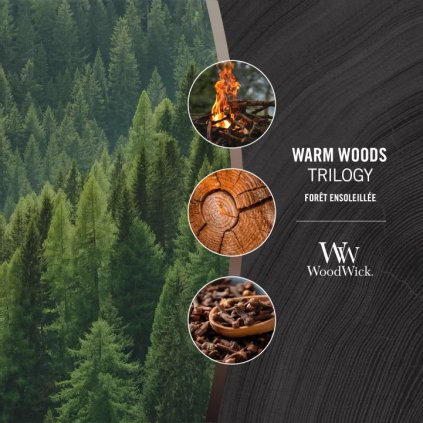 6020 woodwick hearthwick trilogy vonna svicka hrejive drevo 453 g