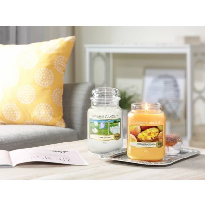 6659 yankee candle vonna svicka mango peach salsa velka
