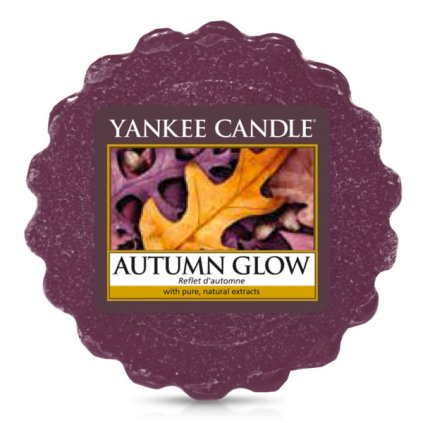 9545 yankee candle vonny vosk autumn glow