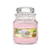 yankee candle sunny daydream mala