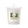 yankee candle camellia blossom votivni